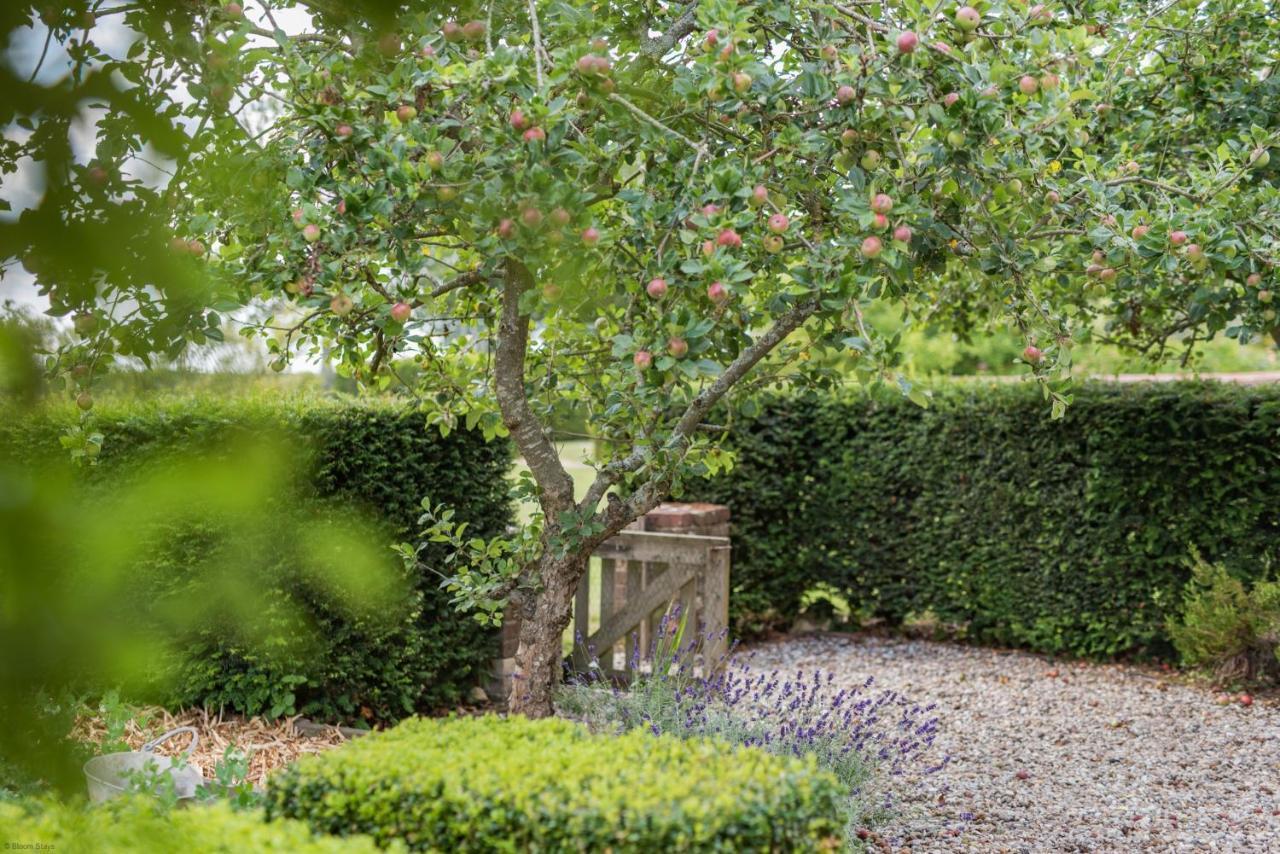The Figgy By Bloom Stays Ashford  Exterior photo